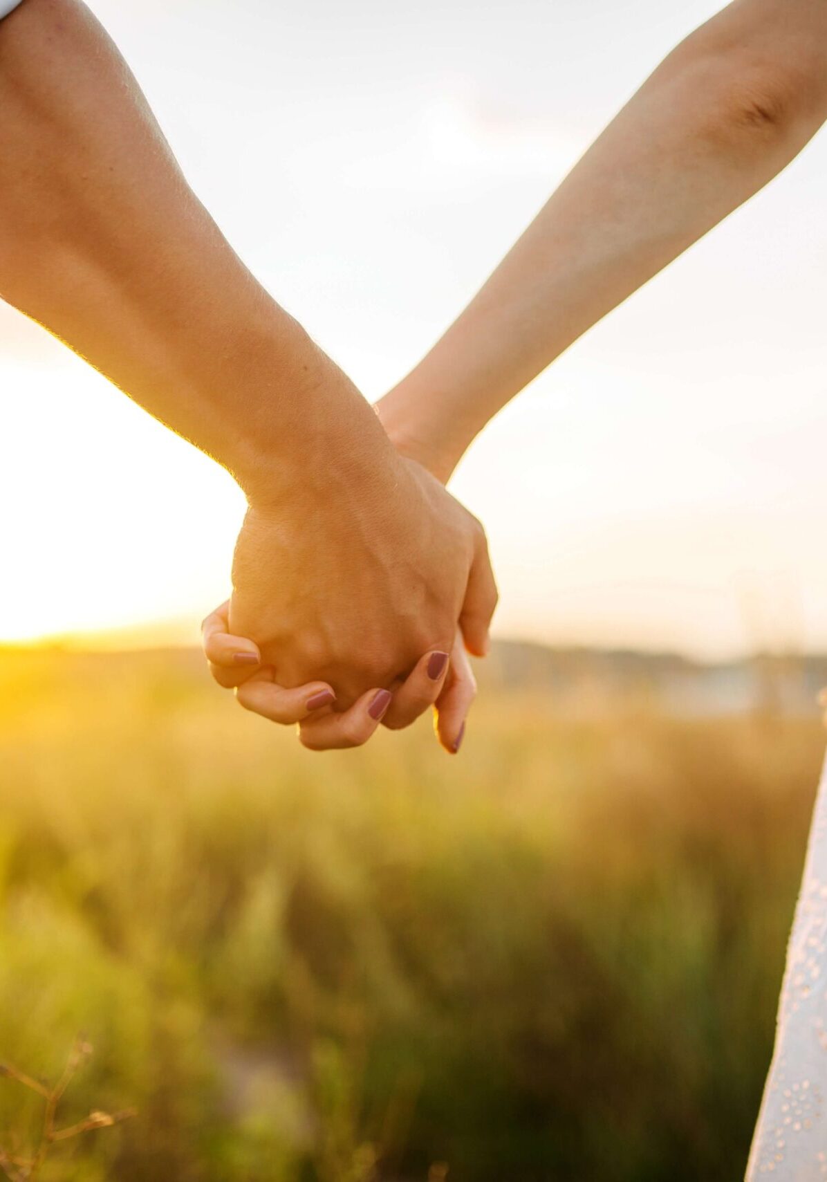 shutterstock_1186242634 (1) shutterstock_1186242634 (1)